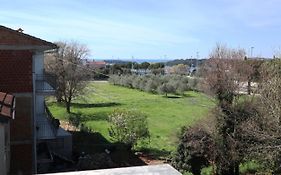 Apartment Dado